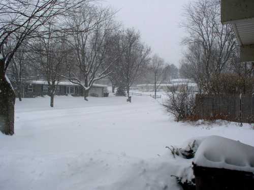 A snowy landscape with trees and houses, blanketed in white, during a winter snowstorm.