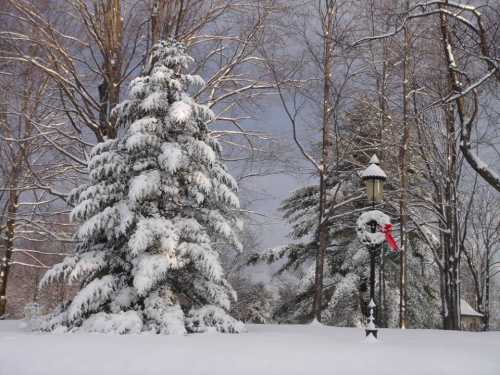 A snowy landscape featuring a frosted evergreen tree and a lamp post adorned with a festive wreath.