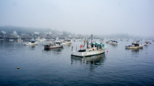 A foggy harbor filled with fishing boats, surrounded by misty hills and a quiet shoreline.