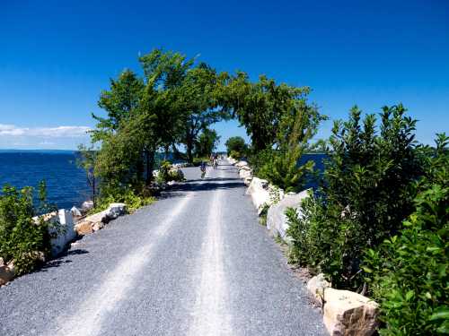 A scenic gravel path lined with greenery, leading towards a calm body of water under a clear blue sky.