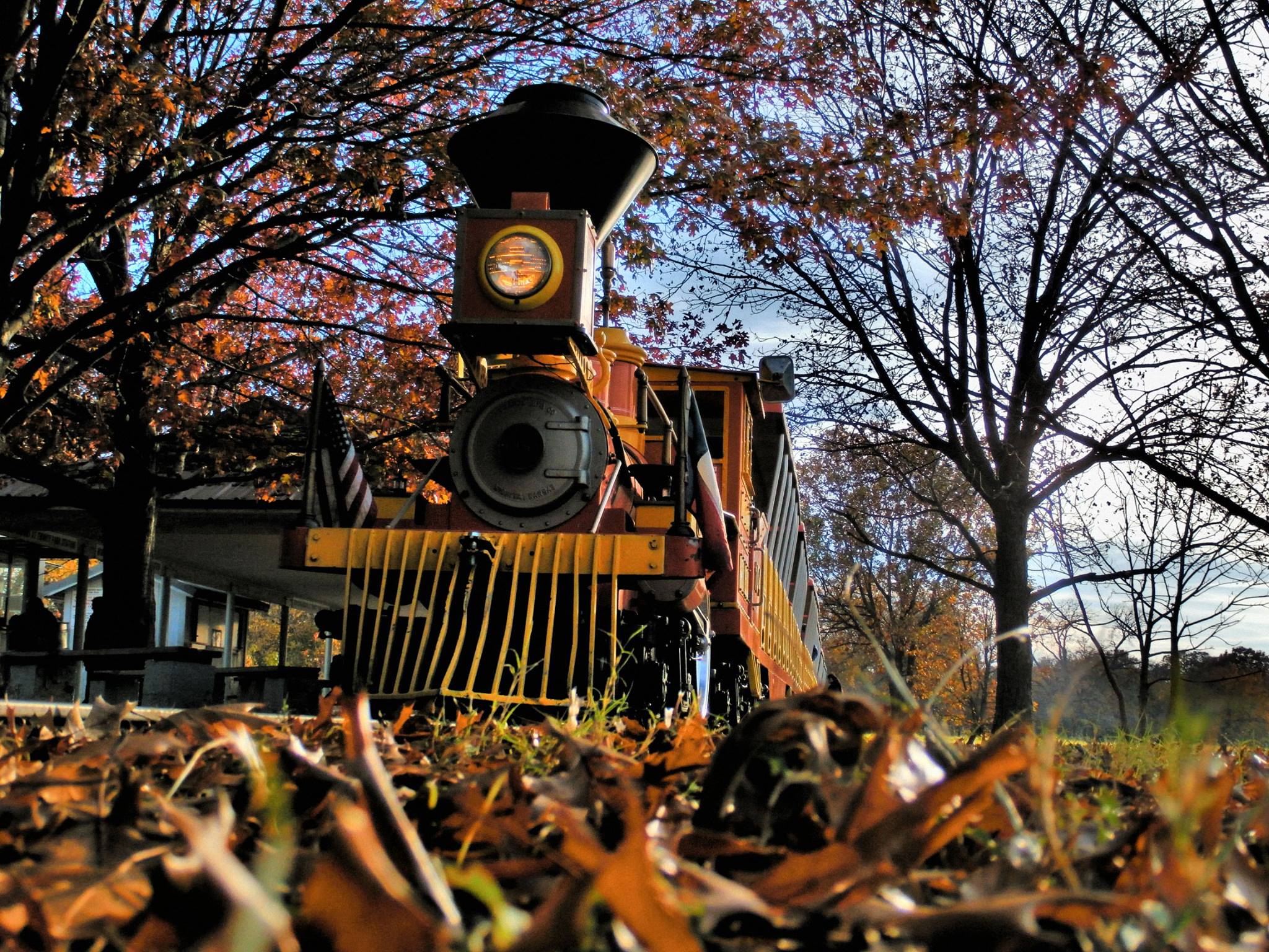 Forest Park Mini Train - hnmgxcz