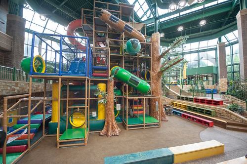 Colorful indoor playground with slides, tunnels, and climbing structures resembling trees and nature.