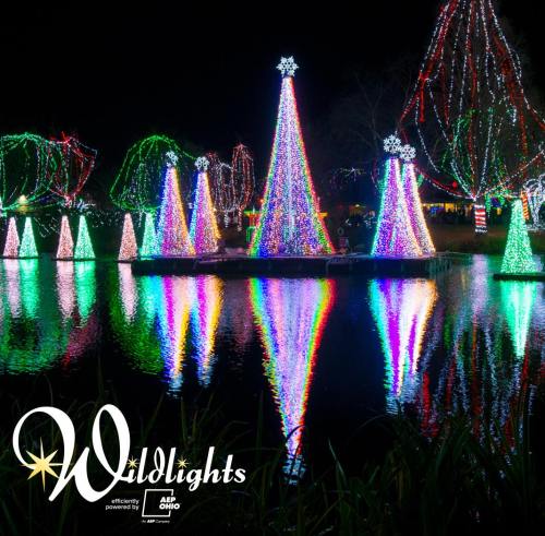 Colorful holiday lights illuminate trees and conical displays, reflecting in a serene pond at night.