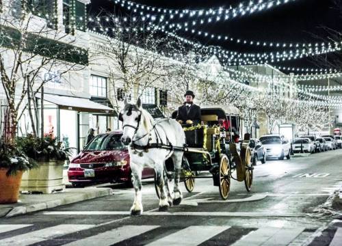 A horse-drawn carriage rides through a festive street adorned with twinkling lights at night.