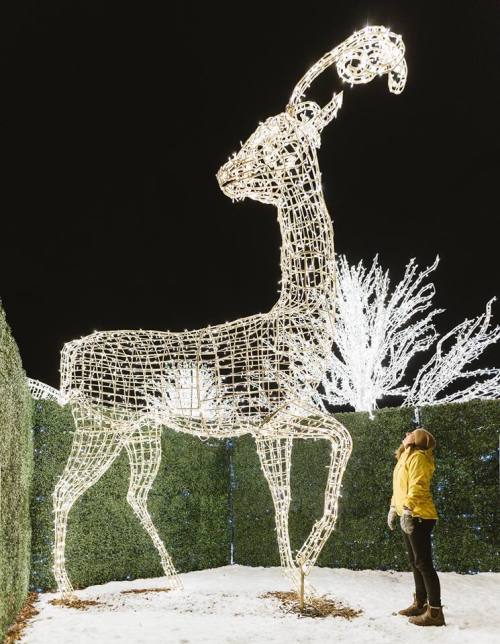 A person in a yellow jacket gazes up at a large illuminated reindeer sculpture in a winter setting.