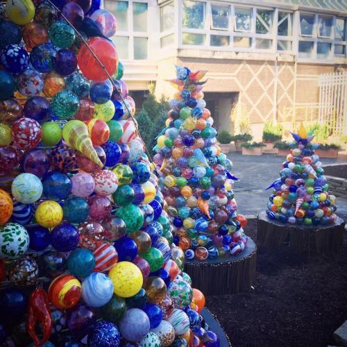 Colorful glass sculptures shaped like trees, adorned with vibrant, patterned orbs, set in a garden area.