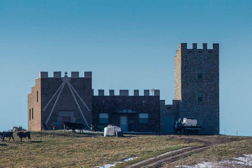 A stone castle-like building with a tower, surrounded by cows and open fields under a clear blue sky.