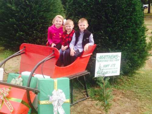 Three children sit in a red sleigh surrounded by Christmas trees and wrapped gifts at a tree farm.