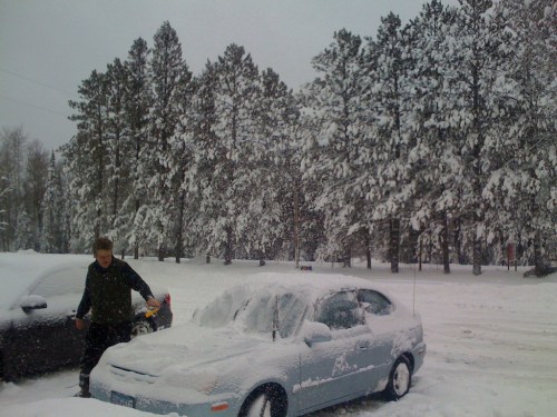A person clears snow off a car in a snowy parking lot surrounded by tall evergreen trees.