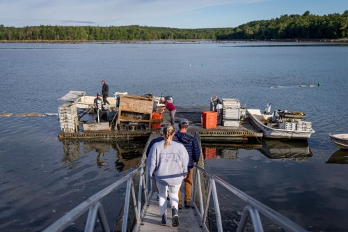Two people walk down a dock towards a floating platform with boats and equipment on a calm waterway surrounded by trees.
