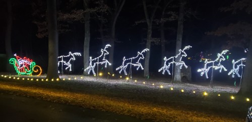 A festive display of illuminated reindeer pulling a sleigh through a dark, wooded area.