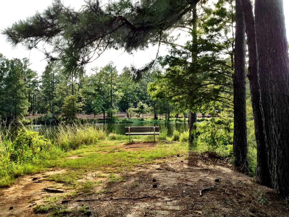 These 7 Secluded Parks In Louisiana Are A Nature Lover’s Paradise