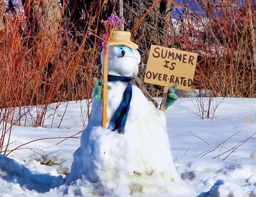 A snowman wearing a straw hat and scarf holds a sign that says "SUMMER IS OVER-RATED" in a snowy landscape.