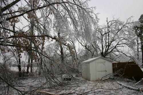 A snowy landscape with a white shed surrounded by ice-covered trees and fallen branches.