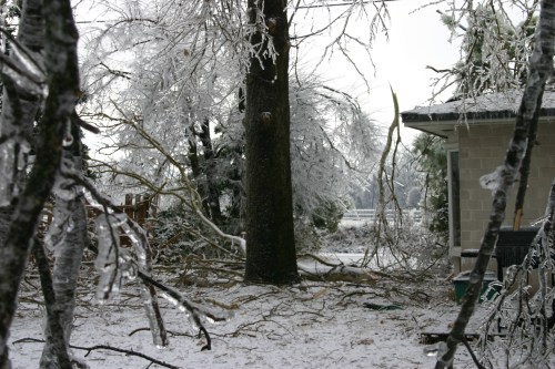 A winter scene with icy trees and fallen branches, showing a house partially obscured by frost and snow.
