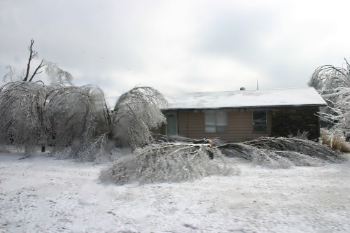 A house surrounded by ice-covered trees and a snowy landscape, creating a winter scene.