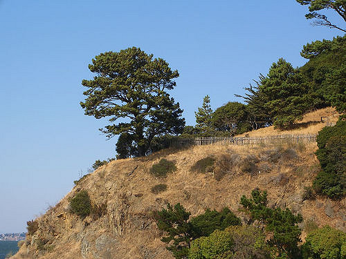 A rocky hillside with sparse vegetation and trees under a clear blue sky.