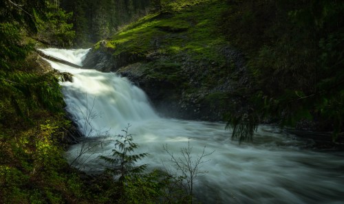 A serene waterfall cascades over rocks, surrounded by lush greenery and soft sunlight filtering through the trees.