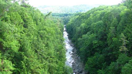 A lush green forest surrounds a winding river flowing through a deep valley under a bright sky.