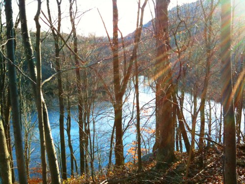 Sunlight filters through trees, illuminating a serene river surrounded by autumn foliage and distant hills.
