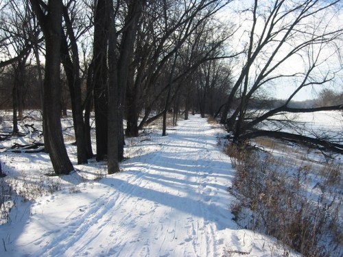 A snowy path lined with bare trees, leading alongside a river under a clear blue sky.