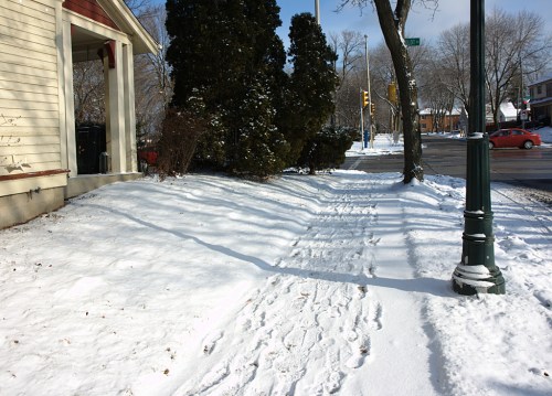 A snowy sidewalk lined with trees and a house, with tire tracks visible on the road in the background.