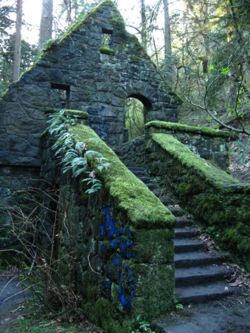 Abandoned stone building covered in moss, with stairs leading up to an arched doorway, surrounded by lush greenery.