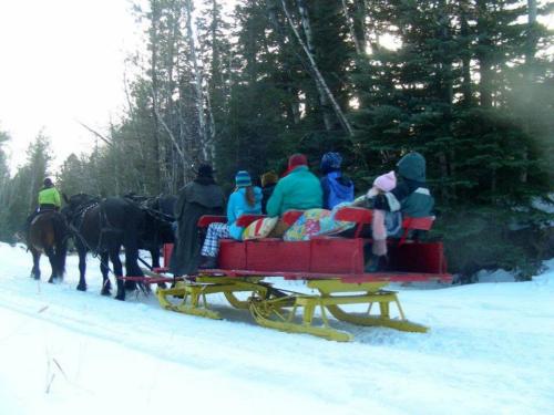 A group of people bundled in colorful blankets rides a horse-drawn sleigh through a snowy forest.