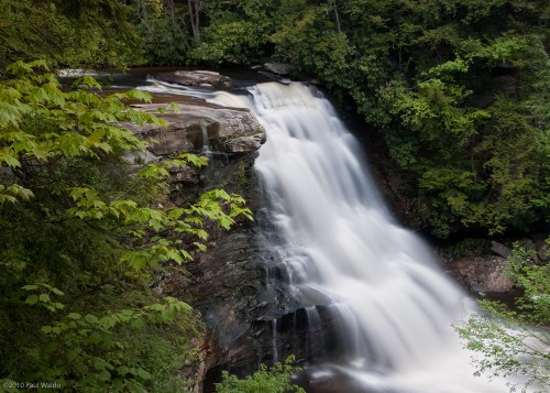 A serene waterfall cascading over rocks, surrounded by lush green trees and foliage.
