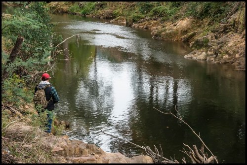 A person in a red cap stands by a calm river, surrounded by trees and rocky banks, reflecting the serene landscape.