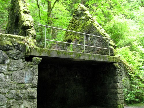 Ruins of a moss-covered stone structure surrounded by lush green foliage.