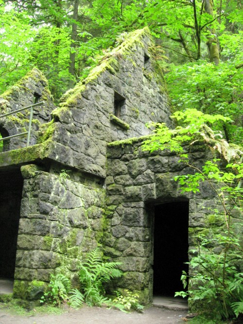 Stone ruins covered in moss, surrounded by lush green foliage in a forested area.