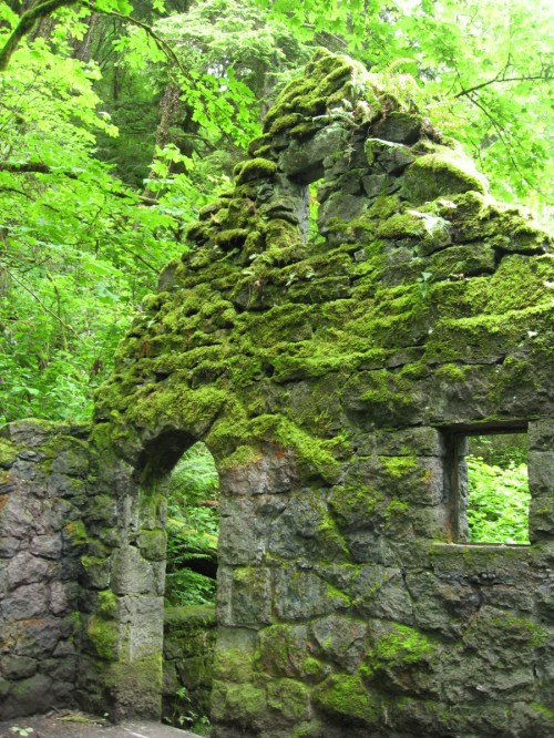 Ruins of a moss-covered stone structure surrounded by lush green foliage.