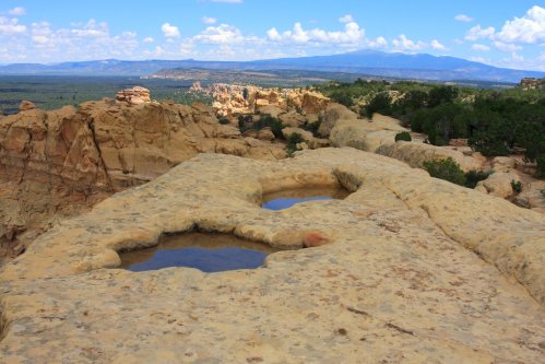A rocky landscape with two shallow pools of water, surrounded by desert vegetation and distant mountains under a blue sky.
