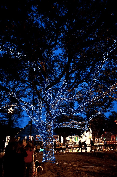 A large tree adorned with blue lights against a darkening sky, with people enjoying a festive atmosphere nearby.