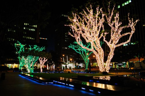 Colorful trees adorned with bright lights illuminate a city plaza at night, creating a festive atmosphere.