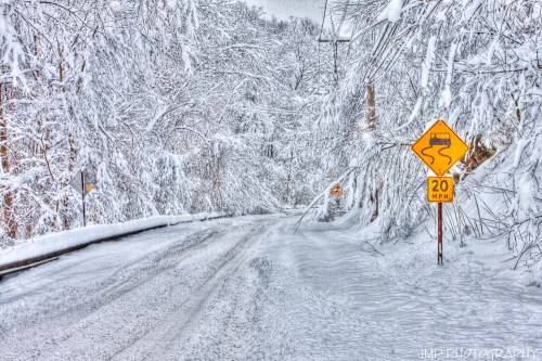 A snowy road with a winding curve sign and a speed limit of 20 mph, surrounded by snow-covered trees.