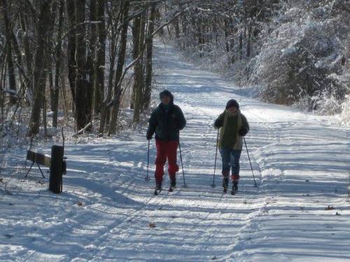 Two people walk on a snowy path, using poles for support, surrounded by trees in a winter landscape.