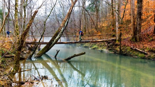 A person crosses a log bridge over a calm, reflective stream surrounded by trees with autumn foliage.