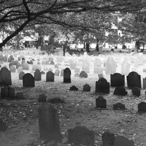 A black and white image of a cemetery with numerous gravestones surrounded by trees and fallen leaves.
