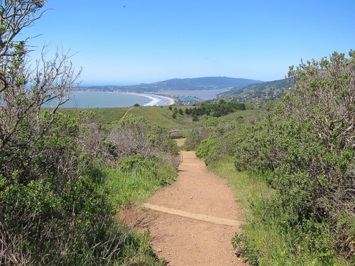 A scenic view of a winding path leading down to a coastal bay, surrounded by lush greenery and blue skies.