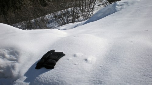 A black glove rests on a snowy landscape, with gentle snowdrifts and sparse vegetation in the background.