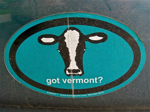 Sticker featuring a black and white cow's head with the text "got vermont?" on a teal background.