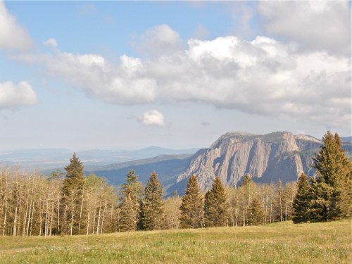 A scenic view of mountains and trees under a partly cloudy sky, showcasing lush greenery in the foreground.
