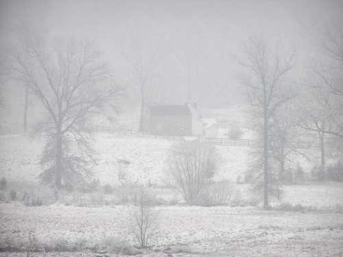 A snowy landscape with a small house partially obscured by fog and bare trees in the background.