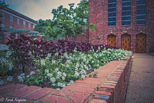 A brick pathway lined with purple and white flowers, leading to a building with wooden doors in the background.