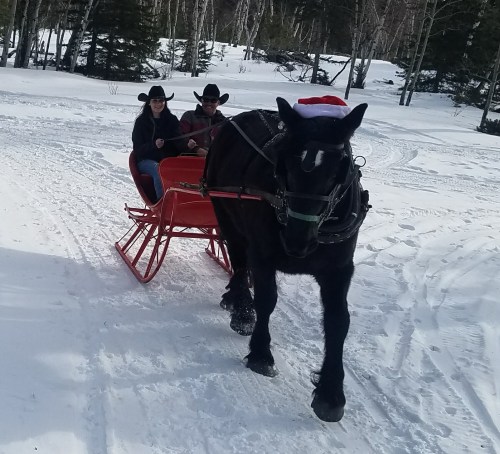 A horse-drawn sleigh in the snow, with two people wearing cowboy hats and a festive Santa hat on the horse.