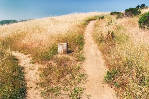 A grassy path splits into two, with a stone marker in the center under a clear blue sky.