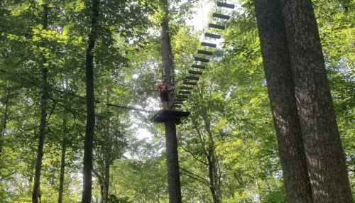 A person on a high ropes course suspended between trees, surrounded by lush green foliage.