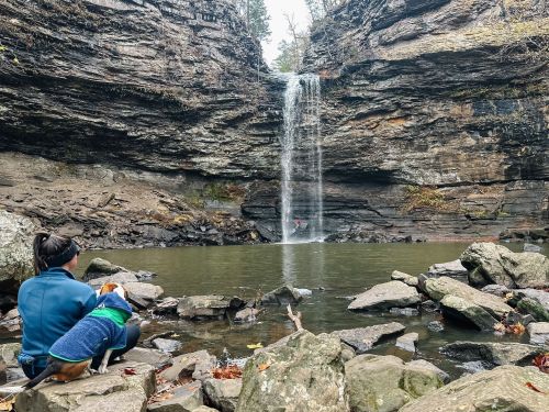 A person and a dog sit by a rocky shore, gazing at a waterfall cascading into a serene pool.